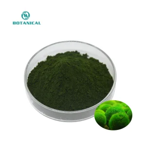 Organic Algae Chlorella Spirulina Powder