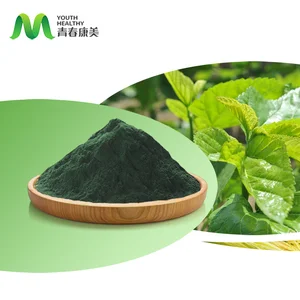 Liquid Chlorophyll Extract Bulk