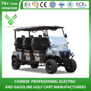 Shininglsv China Imported Advanced Luxury Custom Golf Cart