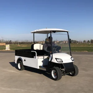 150cc 2 Carrinho de Golfe Utilitário a Gasolina