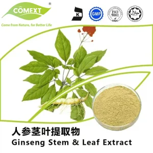Fornecimento de Fábrica Comext Extrato de Ginseng Panax 80% Ginsenosídeos com Alta Qualidade