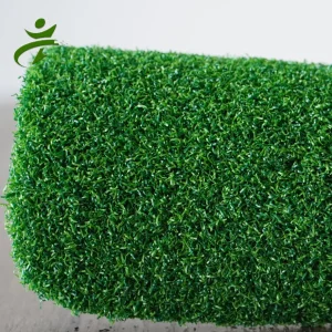 16mm Cricket Artificial Turf Golf Synthetic Grass Carpet Mat Gateball Artificial Lawn