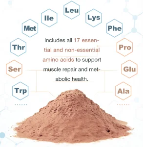 Fermented Protein Powder Model Scp a | Functional Protein Ingredient Bulk Supply From China