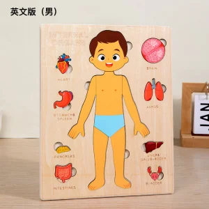 Children's Anatomy Puzzle Toy