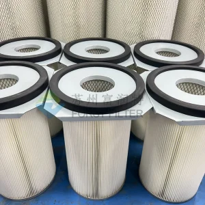 Oxygenerator HEPA Filter