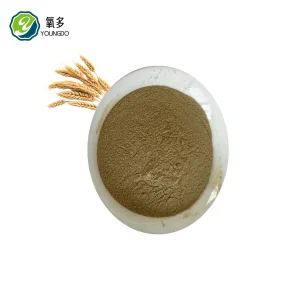 Sustainable Yeast Protein for Livestock &amp; Aquaculture Feed