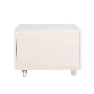 Office Printer Locker