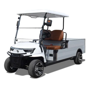2 Seat Electric Golf Car Hotel 48v