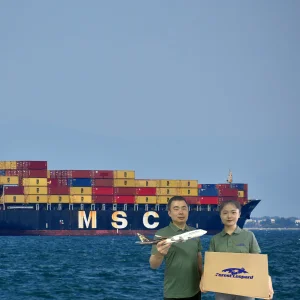 Cheapest FBA To USA Door To Door Air Sea Shipping Service