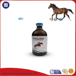 Veterinary Urology Inflammation