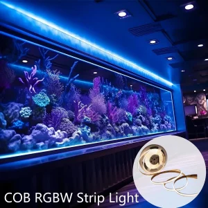 Flexible RGB RGBW Effect Lighting 5m LED Strip Light COB 12V for Nightclub