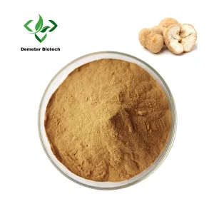 Pure Natural Organic Hericium Erinaceus Extract Lion's Mane Mushroom Powder