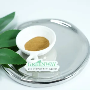 Cosmetic Grade Plant Herbal Extract Grape Seed Extract Vitis Vinifera (Grape) Seed Extract for Anti-Aging