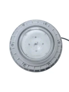 Hrd91-a-2 50W Explosion-Proof Lights Ex Proof Light Explosion Proof Light for Engine Room