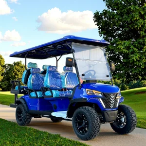 Professional Classic High Quality Utility Electric Golf Cart