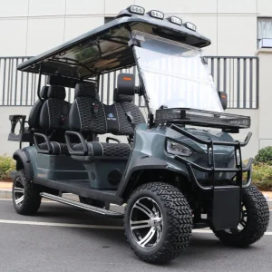 Carro Golf Cart Factory Hunting Buggy 2/4/2+2/6/4+2/8 Seater/Seat Forward Club Car 48V/72V Electric Utility Sightseeing Car Offroad Cart with Ice Bucket San