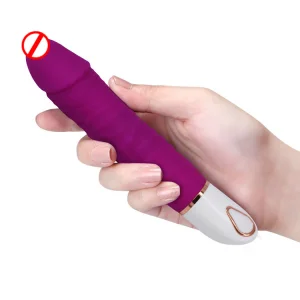 Buy Silent DC Motor Toys Sex Adult for Woman Artificial Penis Vibrator Suppliers, Service