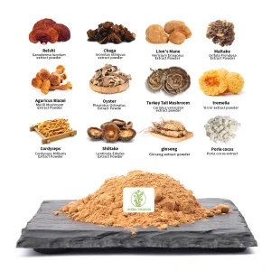 Private Label Quality Herbal Mushroom Extract Powder