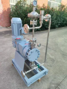 Chemical Dosing Pump