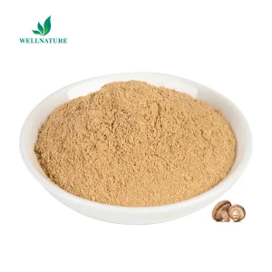 Organic Shiitake Extract 30% Beta Glucans for Premium Nutraceuticals and Research (Lentinan, COA)