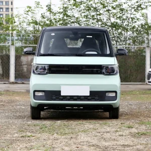 Gxp Pure Electric Vehicle Byd Seagull EV