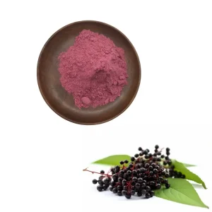 Elderberry Fruit Powder