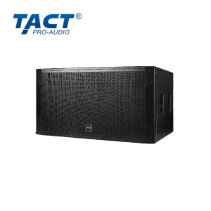 Dual 18 Inch Subwoofer