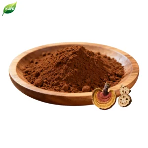 Phellinus Igniarius Extract Powder