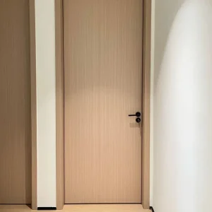 Modern MDF Laminated Exterior White Primed Wood Internal MDF Interior Door