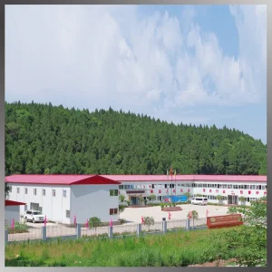 Fast Assembly Flat Pack Container Solar Powered Prefab House