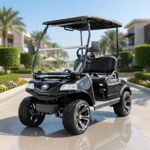 HDK Classic 2 Pro 48V CE Certified Electric Golf Cart 2 Seater for Golf Course and Resort