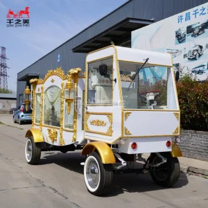 Manufacturer Customized Luxury Hearse Car for Funeral Procession Black Coffin Mortuary Van Service Car on Sale