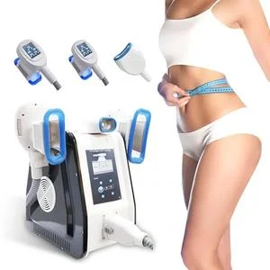 Fast Delivery 3 Handles Cryolipolysis Double Chin Criolipolisis Fat Freezing Machine for Effective Fat Reduction