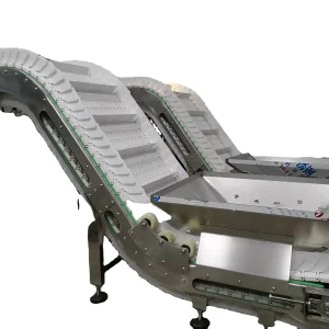 Inclined Conveyor Belt
