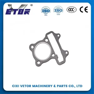 200CC Gasket Sealing Protection