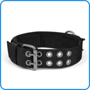 CE Factory Collar