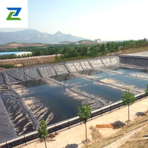 HDPE Geomembrane