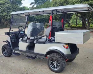 4 Seater Electric UTV
