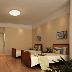 Hospital Furniture Manufacturers China High-End Senior Apartment Project Nursing Home Wooden Twin Bed