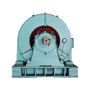 Custom TDMK series motor AC three phase synchronous motor