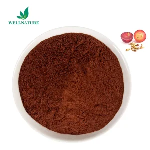 Grape Seed Extract