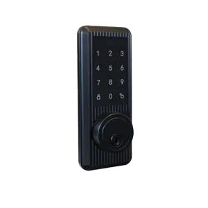 Luxury Smart Lock with Passcode Keypad Memory Card for for Steel Door Home Office