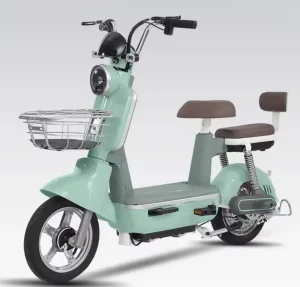 Adult Fat Tire E-Bike