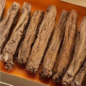 Codonopsis Root Dangshen
