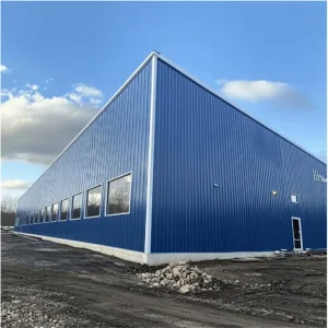Diseño CAD gratuito de gran span para la construcción de edificios industriales prefabricados de acero galvanizado en caliente, plantas metálicas, estructura de taller de acero ligero con marco portal