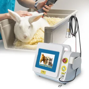 2024 Best Sale 60W 980nm Laser Veterinary Diode Laser Therapy Equipment for Animals Vet Clinic