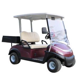 4 Wheel Lithium Battery Powered 2 Seater