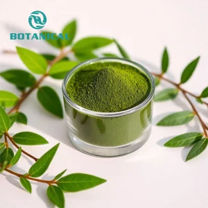 Bci Supply Herbal Extract Moringa Leaf Extract