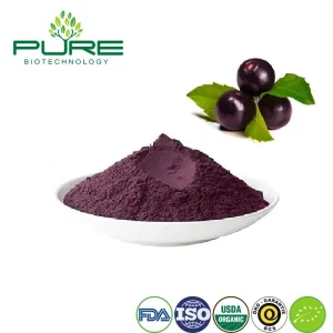 Acai Extract Powder: Organic Plant Extract for Nutraceutical Applications