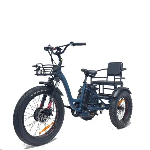 3 Wheel Electric Cargo Tricycle Fat Tire Front Drive Family 2person Electric Trike